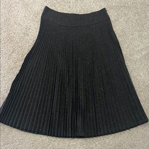 Express Black A-Line Pleated Skirt